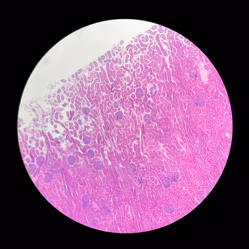 Item #105928769027996618769210176023060289105656660859219797868628404457744896098305 Media