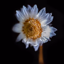 114755020298060964466726190772442565460122339450313481214663278181646140964865