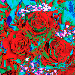 10162537437224382031479019658551907585229278444242708151782220078010255540225