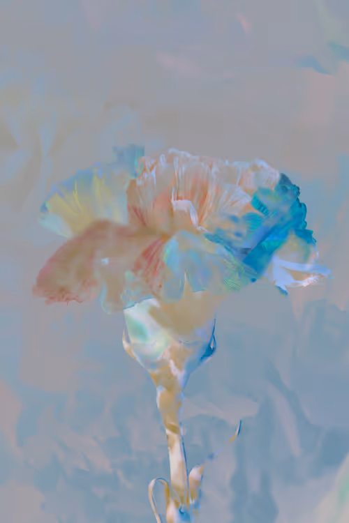 Item #98647933825971538167014356708832577938829494808882293034315128148504910757889 Media