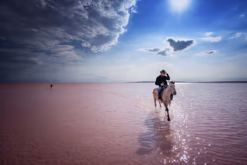 Item #103012301657456598627464593711191492996341926608798375780323323147203827990529 Media