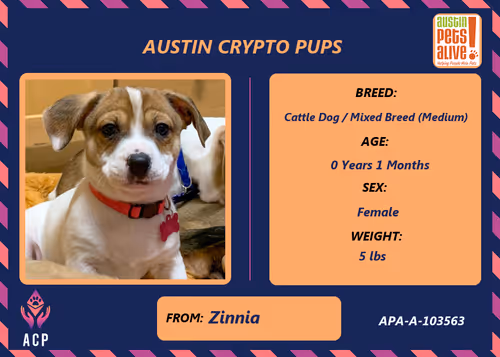 Item #17951378556605612276483806045649535824451571419947225201384628559030500982785 Media