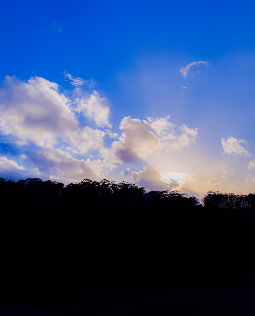 Item #19706736647229879656822454132754720829342414100240411727761359002504536260609 Media