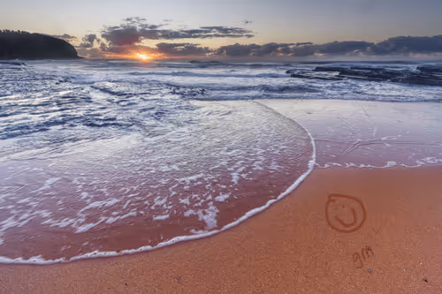 art_icu_late Collection