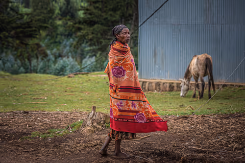 Item #50027882237522295676960542276708360859068113986169674979910834116411934113793 Media