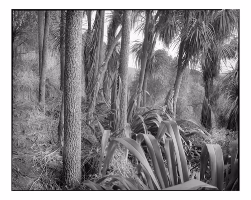 Item #113391420929209941219598099572508675076097289829558384042967582018567743209473 Media