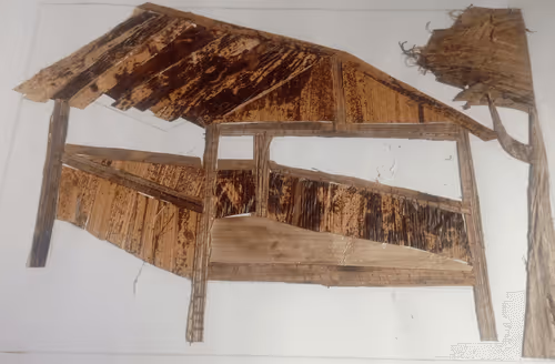 Untitled Collection #248512075