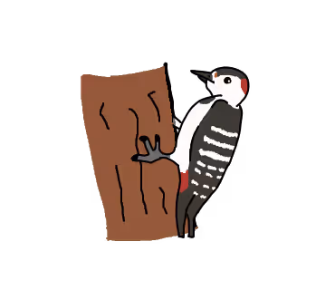 Item #45653737007051702166868604087473476661167283222562412513573621201088574128129 Media