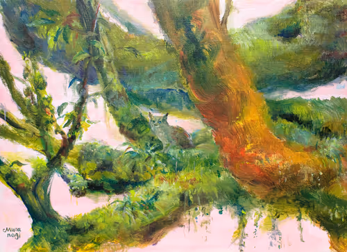 Item #50477655081330602958058317998858533630756418040020163035390472363406255980545 Media