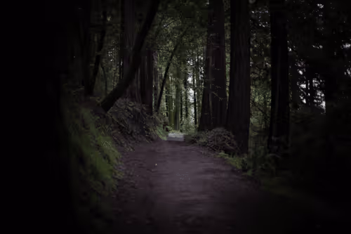 Item #31788909356613404137048829070137069187400346678612286943977180905951450890241 Media