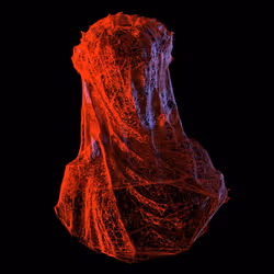 18792996558597511120247018636127735296967260938544846585283093790122831773697