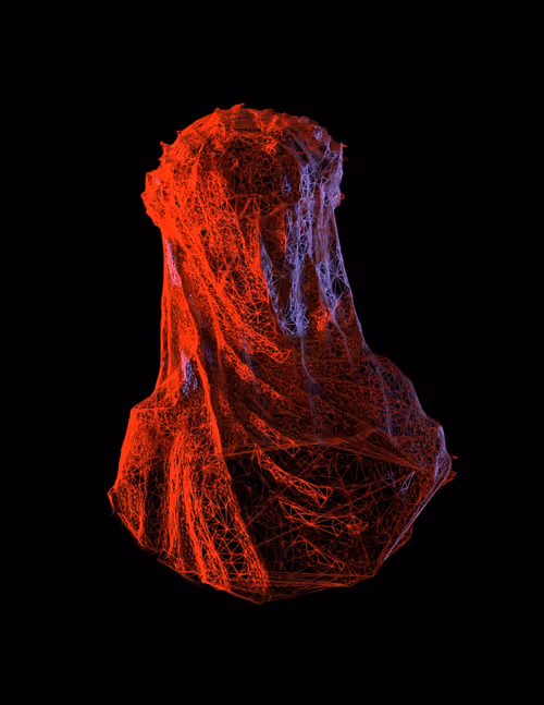 Item #18792996558597511120247018636127735296967260938544846585283093790122831773697 Media