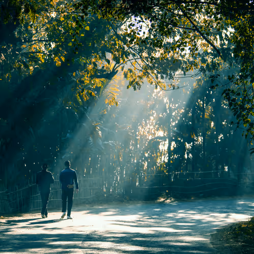 58778802424597683361668907663130982952189902103312446556756235421043847593985