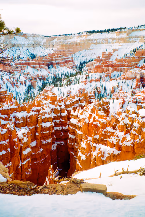 Item #67783958980344062950130156977261207407070005952059443155167400709938661556351 Media