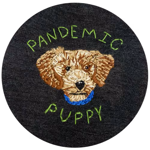 Pandemic Puppy