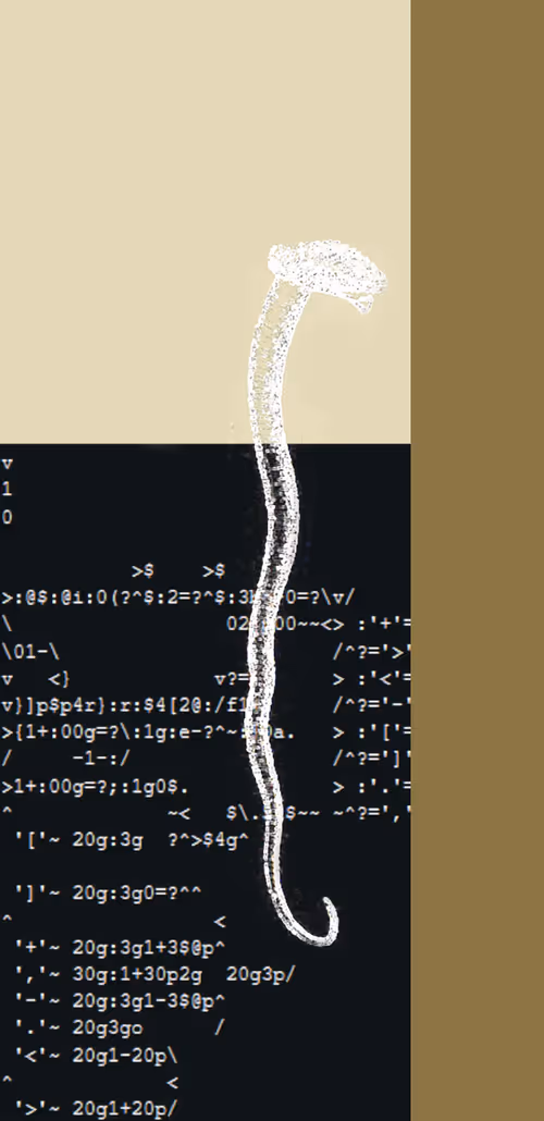 Item #91754164606506966575596469571565985485613429950187136926502423110095969714177 Media