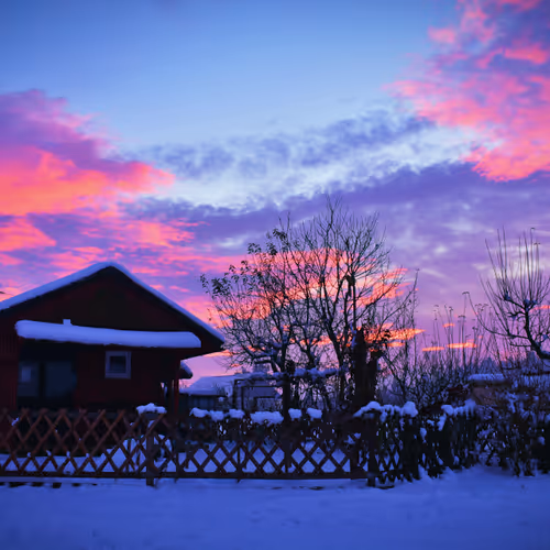 Winter Landscape 
