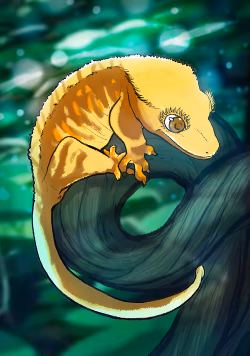 Item #23546686719633506406095790157609111049750244779414073605876924848318321786881 Media