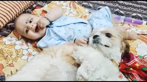 Item #62121686251446972173272091862159377047896999424671428629564572746163746242561 Media