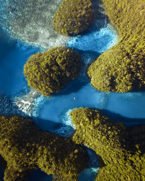 Item #114166721210055605781368580265511700861033361648236924870023126230490704510977 Media