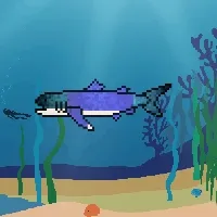 Etherfish #807