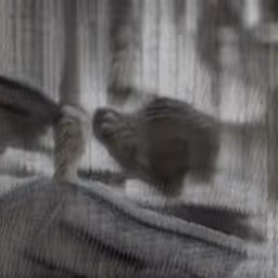 Item #4468298363639779410532789010720251327822800533817543307032898276814707752961 Media