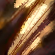71072952612712388955849735551007588276145016514494261475890488149587471106049