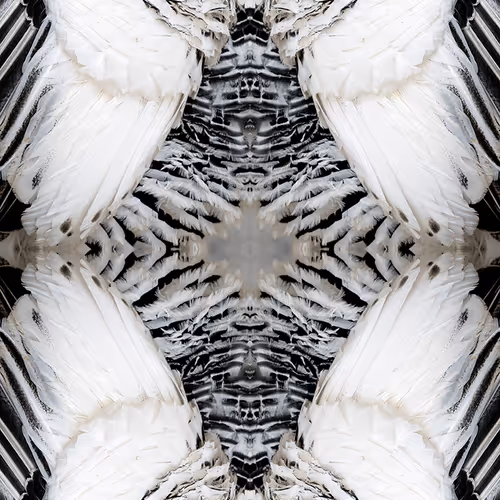 Endless Transformation