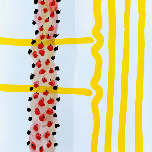 82389879720576235689883874954171763006981900768382394728967861648632213143553