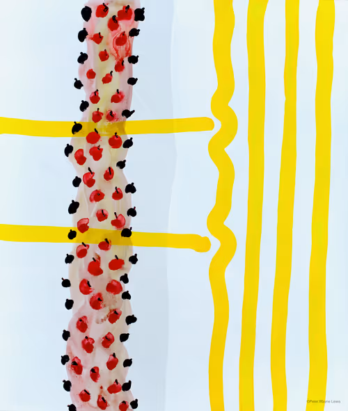 Item #82389879720576235689883874954171763006981900768382394728967861648632213143553 Media