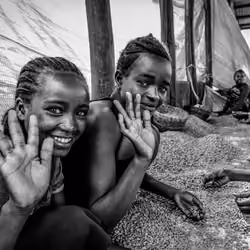 Solar Coffee Project #126 - Hello We Are Young Coffee Farmers