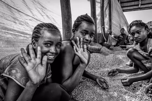 Item #50027882237522295676960542276708360859068113986169674979910834205472375963649 Media