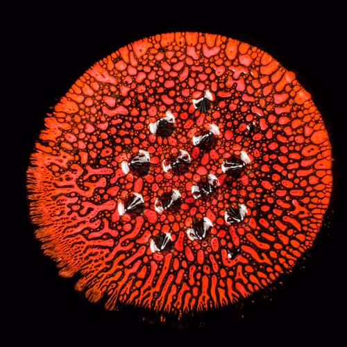 Item #6536742191884206912575663598984880054315379406165865333139133963274769399809 Media