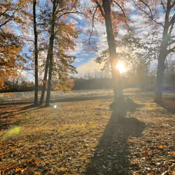 Winter In NC