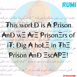 Rumi - Molana's cryptoverses