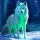 VOLT-INU