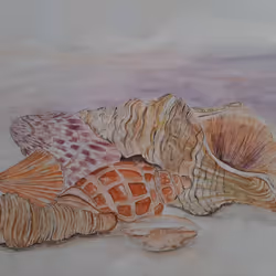 81257910070084939911306087265892870051894872720128802345631265747953243914241