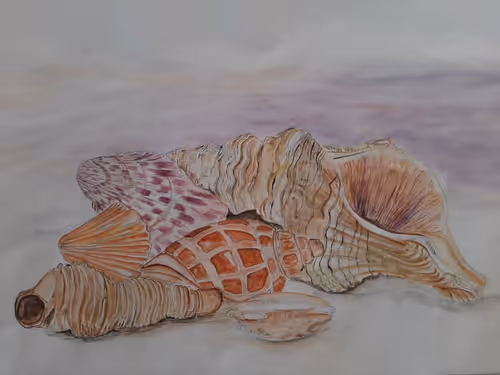 Item #81257910070084939911306087265892870051894872720128802345631265747953243914241 Media