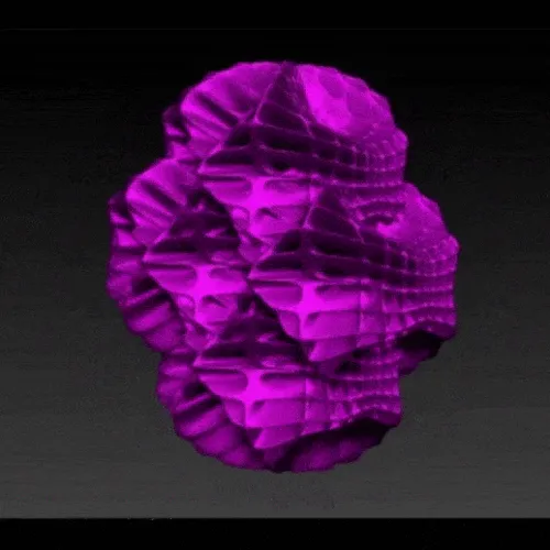 Item #97919126274126302224951180839576190112149877101595383406669397438974096572417 Media