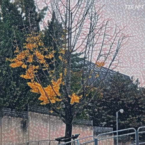 TZNFT_MSK Collection