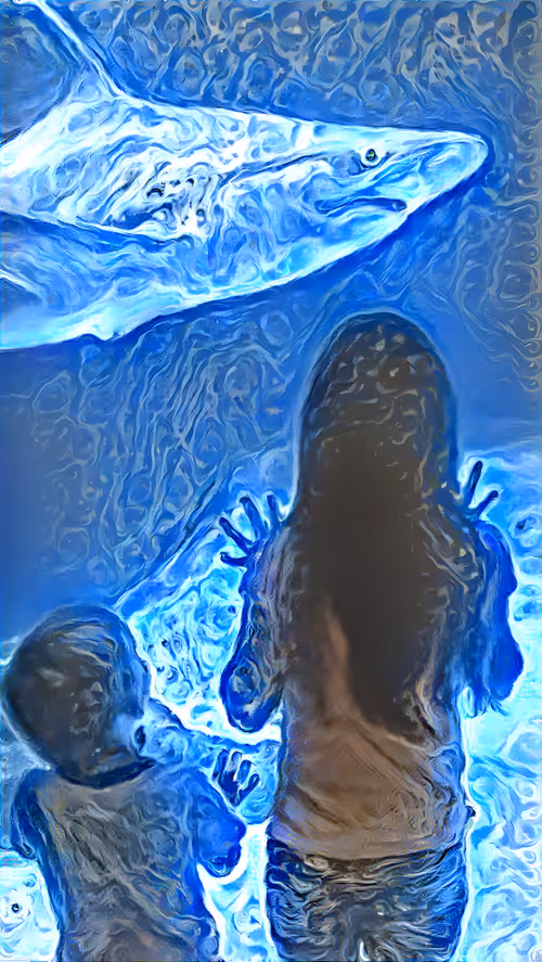 Item #49219072084874033924778474675793317168727717868269848356506034807125613477889 Media