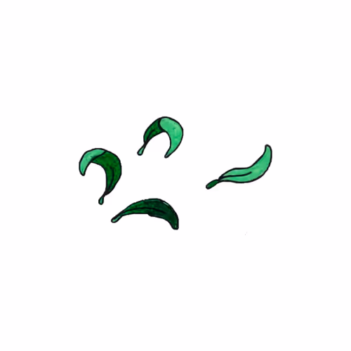 Item #38365265087533641251723178846747942340583392354472852143517619939649047756801 Media