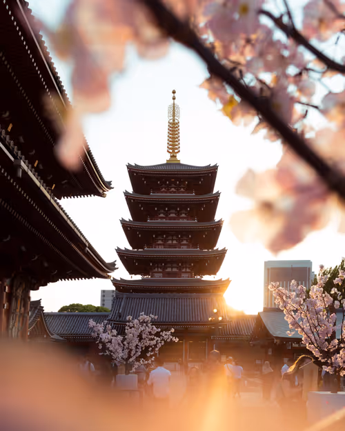 Item #81365922554281880143414136761733390581567018146899571572498285360932643143681 Media