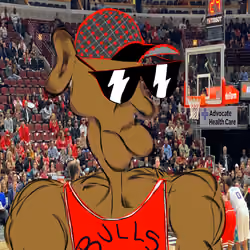 Bulls MOFO