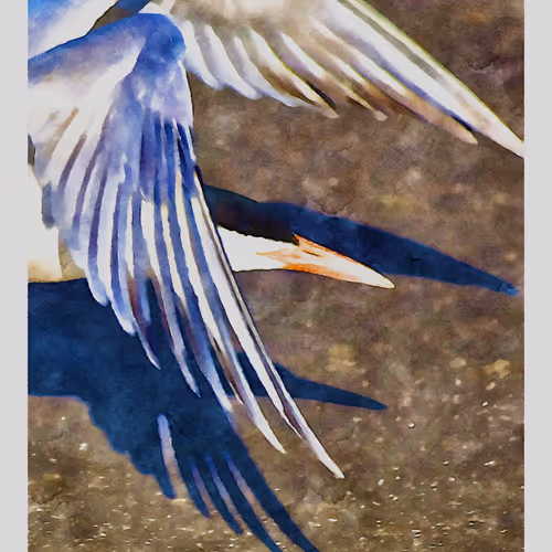 55704534837685659622621715309832868758345944585427688586690141382778506182657