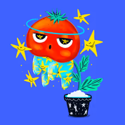 Baby tomato #003