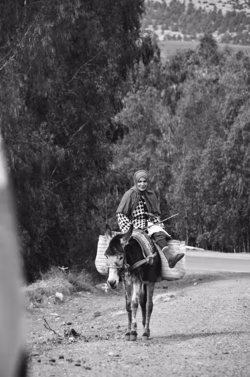 Item #44882446658105913853796509950000769097268566916228504631757224077642325557249 Media