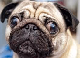 Untitled Collection #1769979006