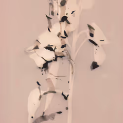 109162157552346088047496633038404394118504199992061596446112929607329198899201