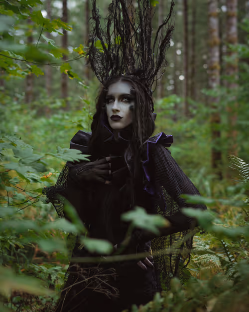 Item #99541058284214452303298643709629193616425519011785395331696783119909063229441 Media